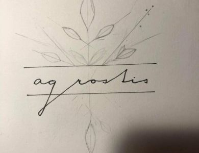 Jak vznikalo nové logo Agrostis Trávníky, s.r.o.