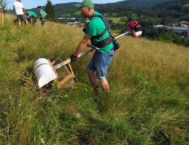 Regionální směsi osiv jako účinný nástroj ochrany diverzity lučních biotopů