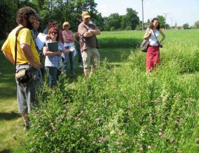 PROHLÍDKY POKUSNÝCH PLOCH FIRMY AGROSTIS