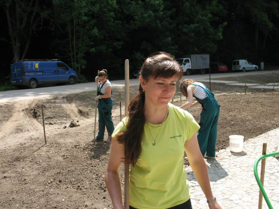 Regionální travní směs CHKO Moravský kras - Agrostis