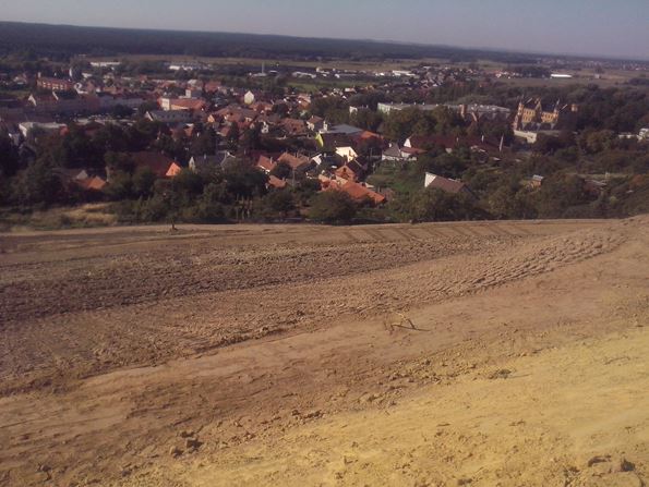 Založení květnatých luk na svazích s využitím Panonie a jílku jednoletého