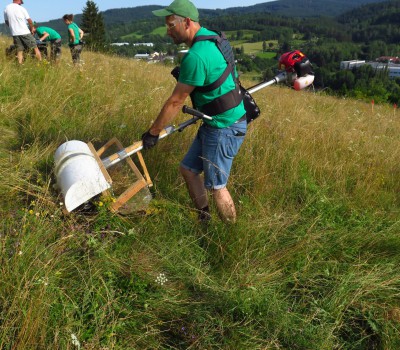 Regionální směsi osiv jako účinný nástroj ochrany diverzity lučních biotopů