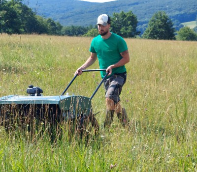 Regionální směsi osiv jako účinný nástroj ochrany diverzity lučních biotopů