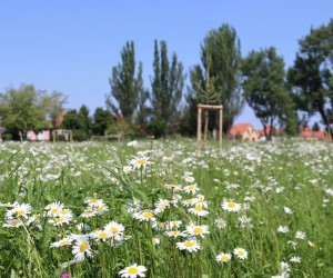 Park Hliník, Nové Zámky