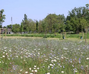 Park Hliník, Nové Zámky