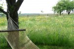 SLUNOVRAT - Květnatá louka do sucha pro náročné #5 - Směsi pro květnaté louky