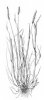 PSÁRKA LUČNÍ (Alopecurus pratensis L.) #4 - Kapesní atlas trav