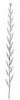 PÝR PLAZIVÝ (Elytrigia repens (L.) Nevski) #2 - Kapesní atlas trav