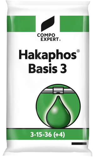 Rozpustné hnojivo Hakaphos Basis 3-15-36(+4) - Rozpustná minerální a organická hnojiva pro listovou i kořenovou závlahu